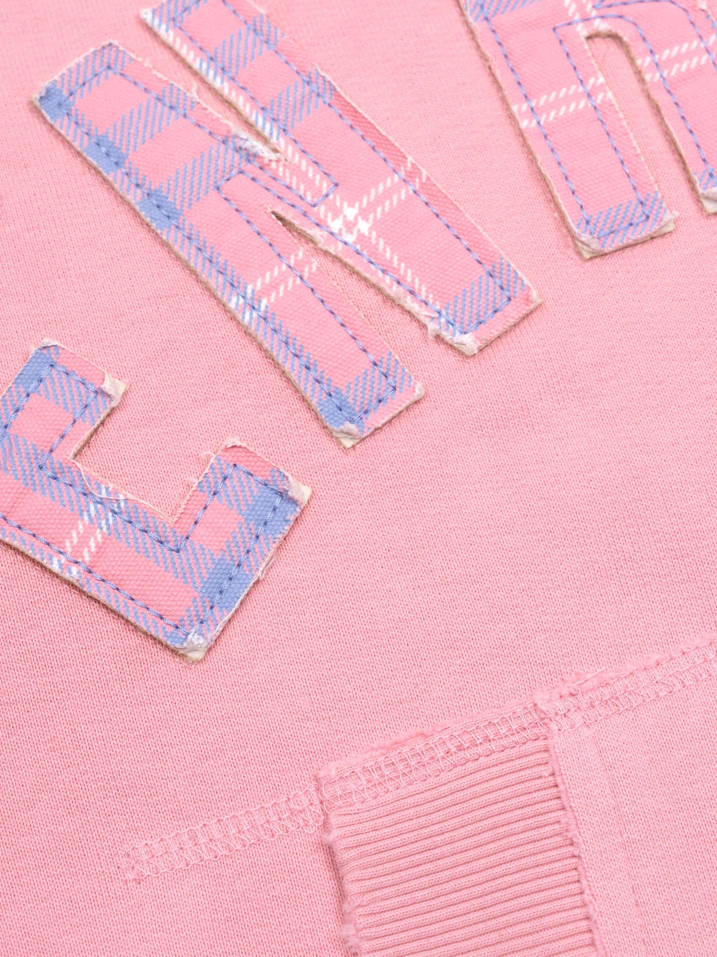 2010 ZIP HOODIE - PINK