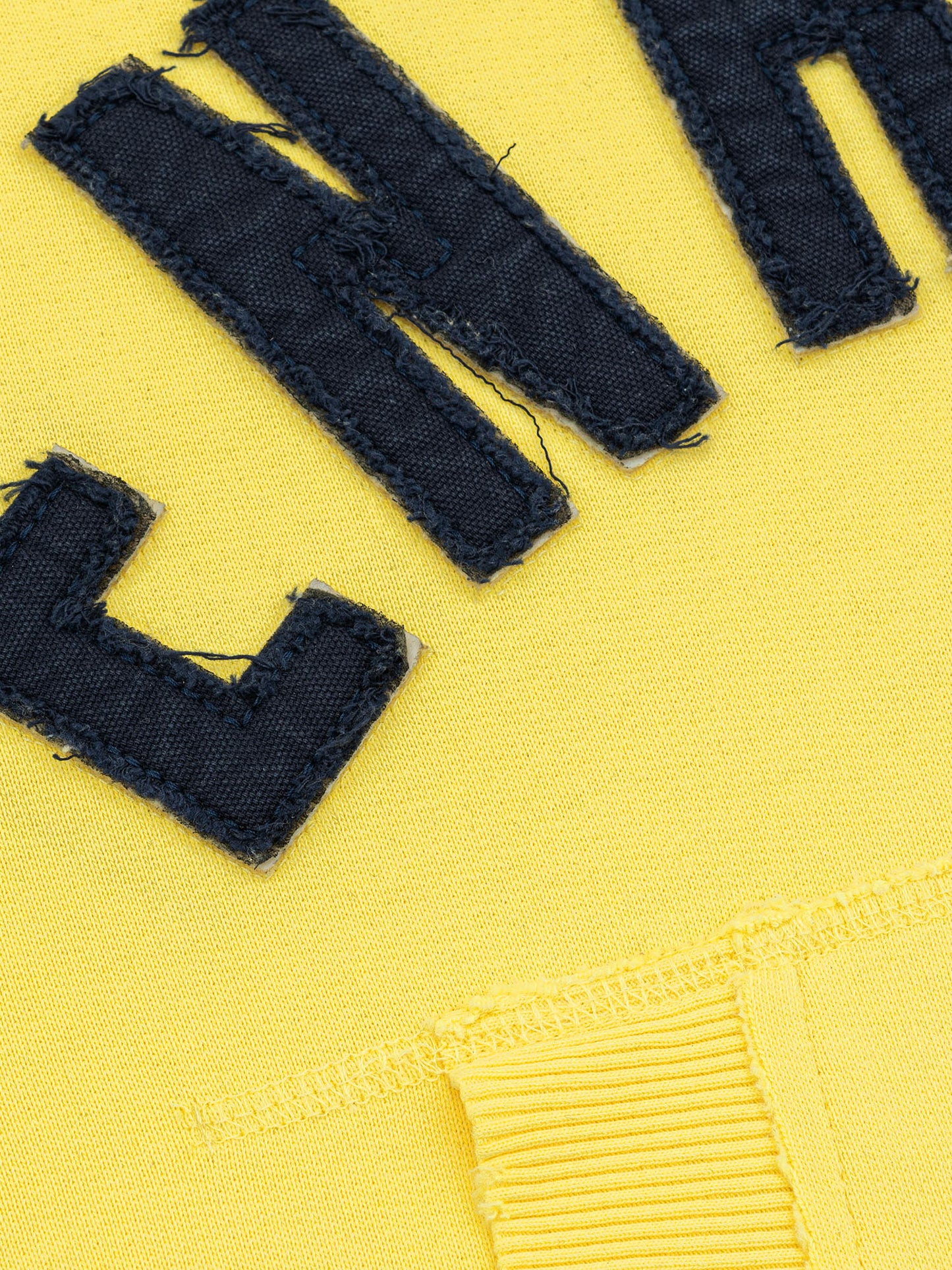 2010 ZIP HOODIE - YELLOW