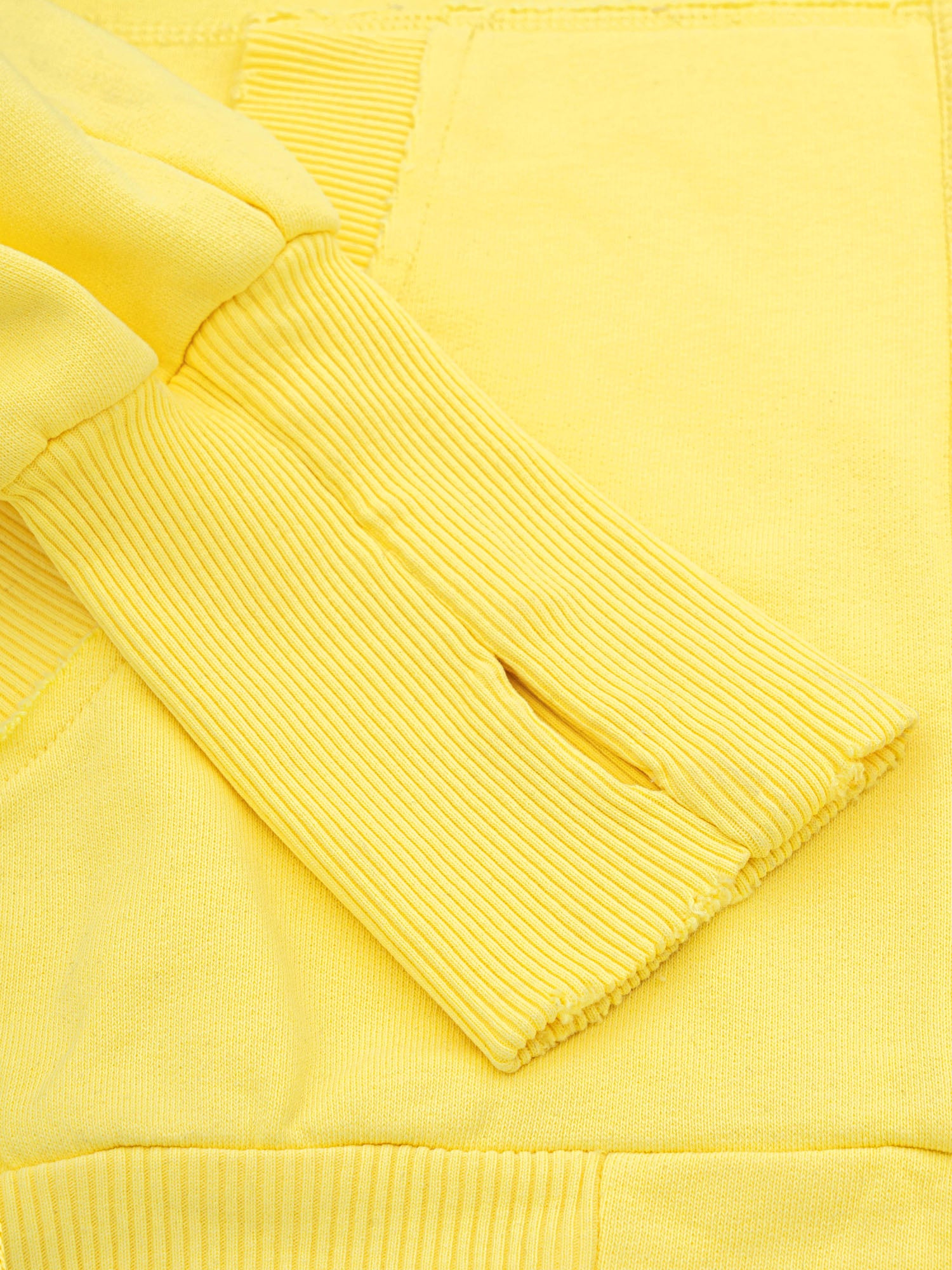 2010 ZIP HOODIE - YELLOW